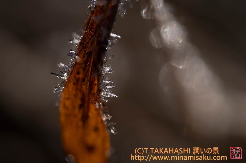 ../Images/7R251130 (88).jpg